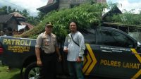 Satres Narkoba Polres Lahat Temukan Ladang Ganja 1 Hektar