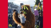 ASHBT: Peringati Hari Air Sedunia, Stop Pembangunan PLTA Simarboru ASHBT: Peringati Hari Air Sedunia, Stop Pembangunan PLTA Simarboru