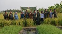 Danrem 071 Cek Lahan Demplot, Lihat Aplikasi Pupuk Wijayakusuma