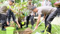 Kapolri Idham Aziz Tanam Pohon Eboni di Sulawesi Selatan