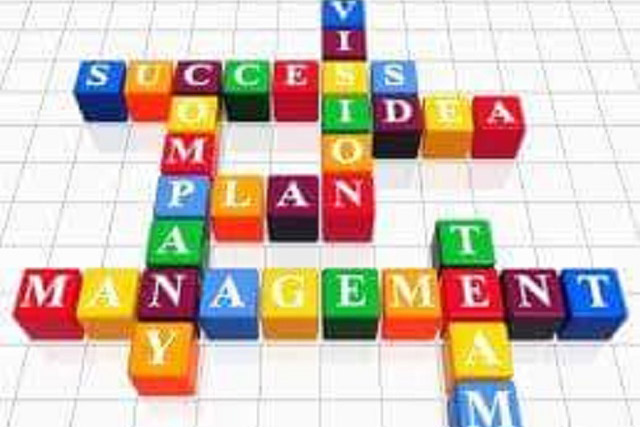 Perusahaan dan Manajemen. Opini I Wayan Budiartawan