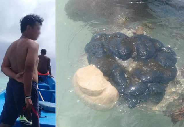 Demi Ikan Hias, Terumbu Karang Kepulauan Ayau Raja Ampat Dirusak