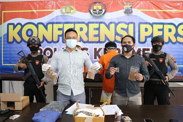 Kasat Resnarkoba Polres Kebumen: Efek Tembakau Gorila Lebih Mengerikan Dibanding Ganja