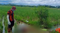 Warga Mirit Kabupaten Kebumen Ditemukan Meninggal di Sawah