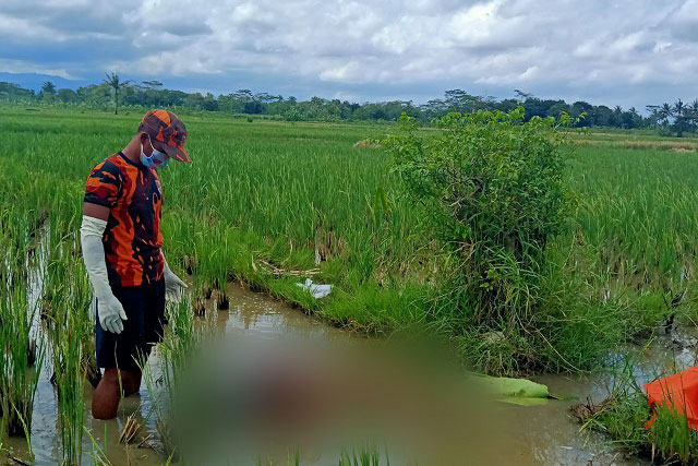 Warga Mirit Kabupaten Kebumen Ditemukan Meninggal di Sawah