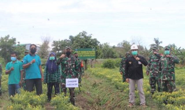 Dandim 1203 Ketapang Tebar Benih Lele di Lahan Ketahanan Pangan