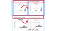 Covid-19 Juni 2021: Mengapa India Menurun, Tapi Indonesia Meledak?