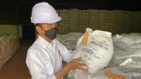 Jokowi Pastikan Bantuan Beras Dari Pemerintah Bukan Sekedar Janji