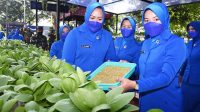 Ketua CBS Jalasenastri AAL Resmikan Taman Toga Jala Asri