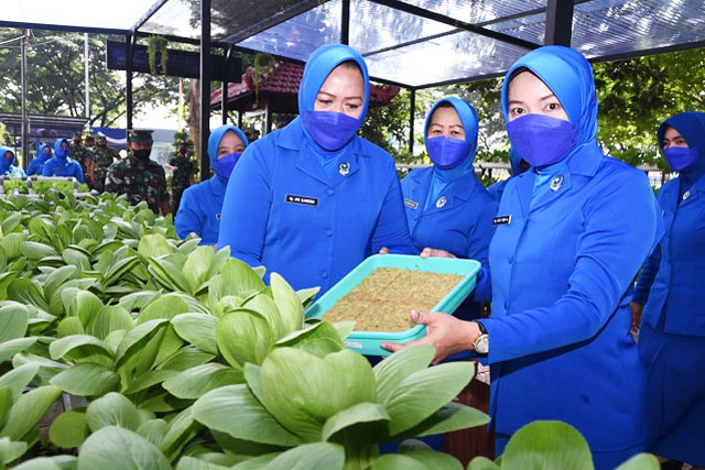 Ketua CBS Jalasenastri AAL Resmikan Taman Toga Jala Asri