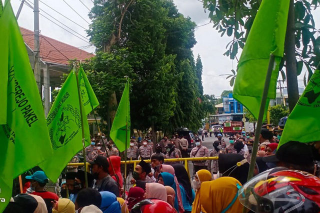 Tak Terima Dilaporkan Lakukan Perusakan Lahan, Warga Desa Pakel Geruduk Polresta Banyuwangi