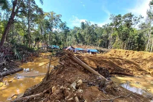 Masyarakat Adat Wasirawi: Cukup Ambil Emas Saja, Jangan Rusak Hutan