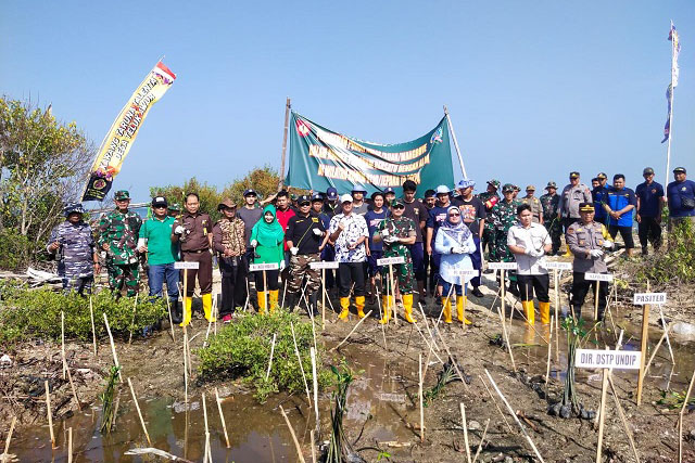 Kodim 0719 Jepara Tanam Ratusan Mangrove