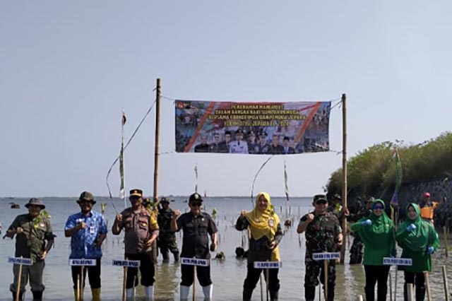 Kodim 0719 Bersama Forkopimda Jepara Tanam 2.000 Mangrove