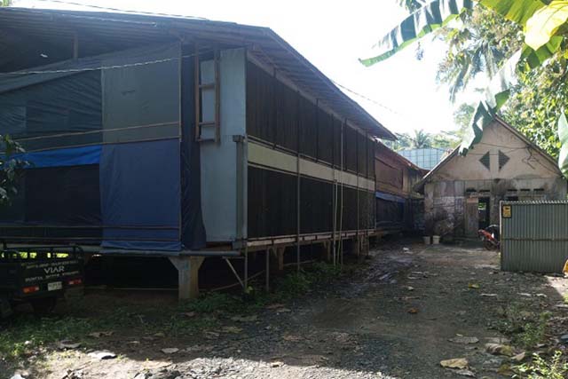 Warga 2 Desa Ultimatum CI, 3 Bulan Kandang Ayam Broiler Harus Tutup
